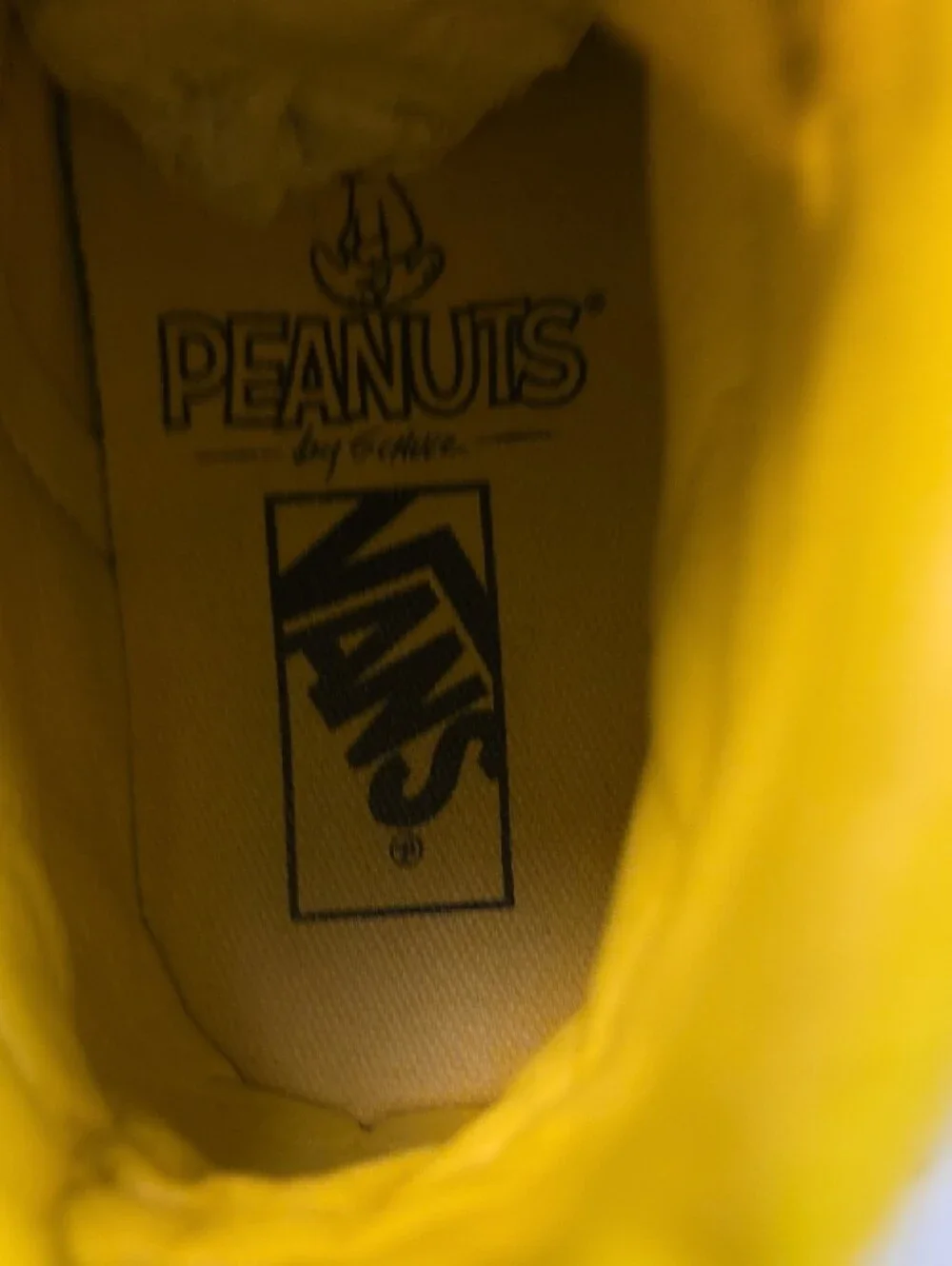 Vans x Peanuts Sk8 Hi Charlie Brown Men’s 8 Women’s 9.5